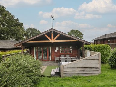 A wooden cabin with a large covered porch and outdoor seating surrounded by greenery at Pine in Swanage