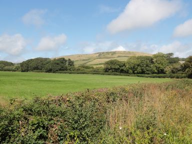 A grassy field with shrubs and trees and a hill in the background at Pine in Swanage