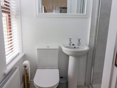 A bathroom with a toilet sink mirror and shower at The Artist's Barn in Ayle near Cappawhite