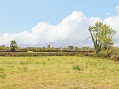 A grassy field with scattered bushes and trees under a partly cloudy sky at The Artists Barn in Ayle near Cappawhite