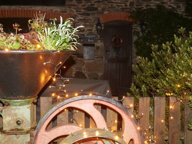 An outdoor view with a plant in a bowl and lights at Foxglove Barn South Brent