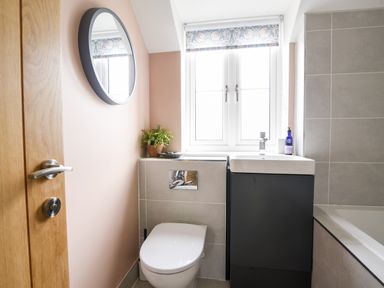 A bathroom with a toilet sink mirror window and plant at Conybeare Cottage in Lyme Regis