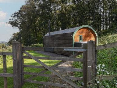 A wooden gate leading to a pod cabin surrounded by grass and trees at Pendragon Pod in Axminster