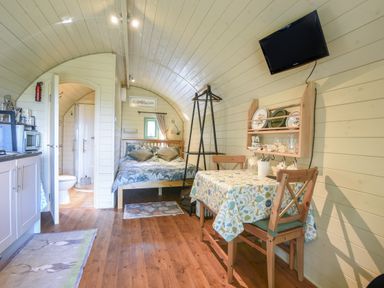 An open plan room with a bed kitchen area dining table wooden chairs and a wall mounted tv at Pendragon Pod in Axminster