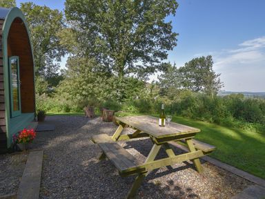 An outdoor area with a wooden picnic table holding a wine bottle and glass next to a wooden pod surrounded by trees at Pendragon Pod in Axminster