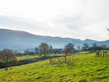 A green grassy field with scattered trees and mountains in the background at The Hidden Place in Watermillock near Pooley Bridge