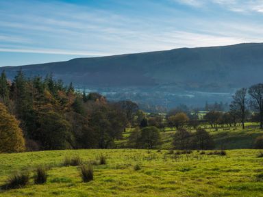 A grassy field with trees and hills in the background at The Hidden Place in Watermillock near Pooley Bridge