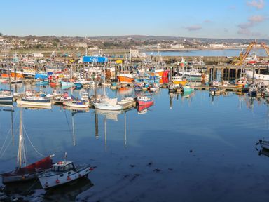A harbor with many boats docked on calm water with buildings and hills in the background at Bodillys Cottage in Newlyn