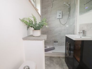 A bathroom featuring a sink, shower, and toilet at The Tinystore in Bodmin