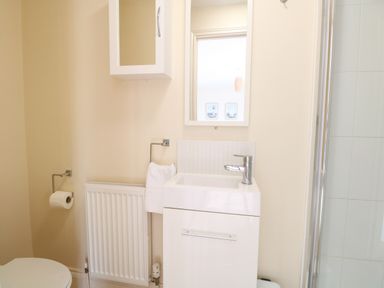 A bathroom with a sink cabinet mirror radiator toilet and shower at 30 Burtons Mill in Stalham