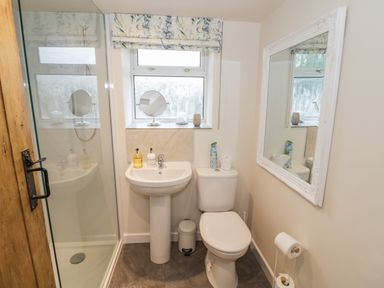 A bathroom with a shower enclosure wooden door pedestal sink toilet mirror and window at Grove Cottage in Leominster