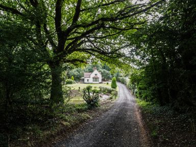A gravel driveway leading to a white house surrounded by trees and greenery at Grove Cottage in Leominster