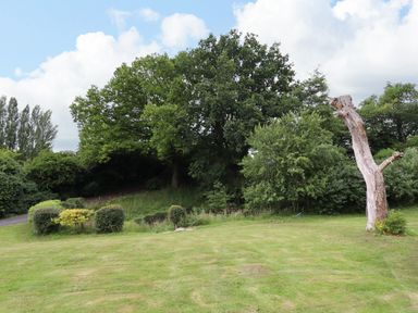 A garden with grass a tree stump and various green trees and shrubs at Grove Cottage in Leominster