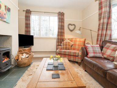 A living room with a wood burning stove basket with logs checkered armchair brown leather sofa wooden coffee table and windows with checkered curtains at Larch Cottage at Esthwaite Water in Hawkshead