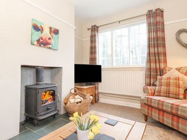 A living room with a wood-burning stove a basket of firewood a television a window with plaid curtains a plaid sofa and a wooden coffee table with flowers at Larch Cottage at Esthwaite Water in Hawkshead