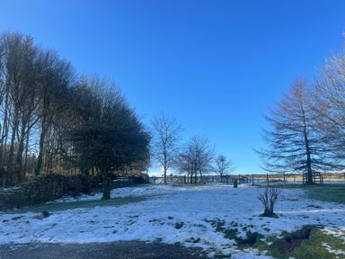 A snowy landscape with leafless trees and a stone wall under a clear blue sky at Winder Barn in Askham Cumbria