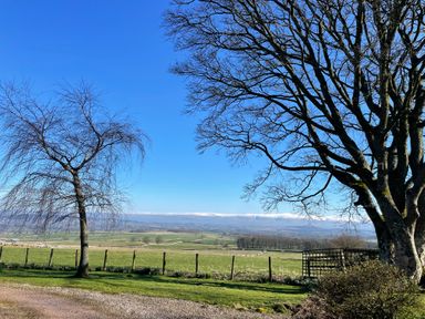 A rural landscape with leafless trees green fields and snow-capped hills in the distance at Winder Barn in Askham Cumbria