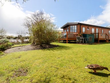 A wooden cabin with a deck and outdoor table and chairs on a grassy lawn with bushes and a duck at Lake View 10 in Par