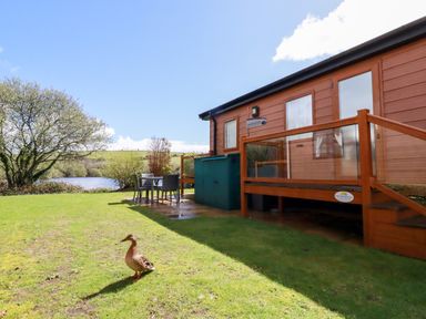 A wooden cabin with glass railing on a deck beside a grassy area with a duck near a body of water at Lake View 10 in Par