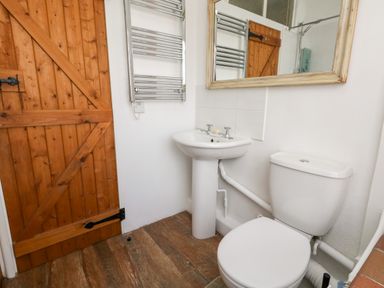A bathroom with a wooden door a white pedestal sink a toilet a wall-mounted towel radiator and a large mirror at Eweleaze in West Bexington