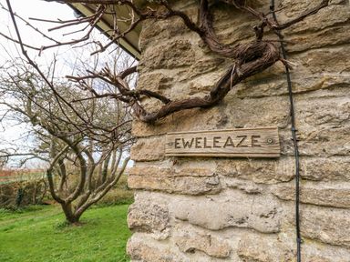 A stone wall with a wooden sign reading Eweleaze and a bare vine growing on it in a grassy garden at Eweleaze in West Bexington