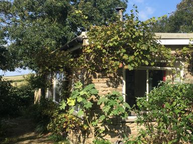 A stone house with windows and plants growing around it at Eweleaze in West Bexington