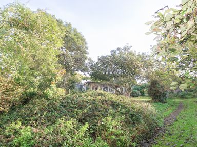 A garden with dense green bushes and trees with a small building visible behind the foliage and a dirt path on the right at Eweleaze in West Bexington