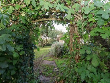 A garden path with a wooden arch covered in green leaves and vines leading to trees and shrubbery at Eweleaze in West Bexington