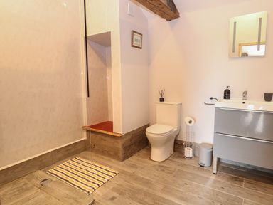 A bathroom with a toilet a sink with a mirror a waste bin and a striped rug on a wooden floor at Bee Happy Barn Beighton near Acle