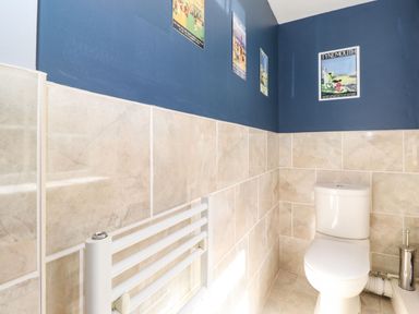A bathroom with a white toilet a towel radiator and vintage posters on blue and beige tiled walls at West Farm Cottage in Longhorsley