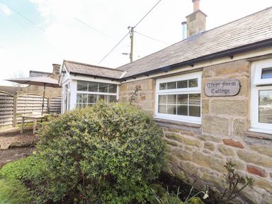 Exterior of a stone cottage with white framed windows a bush and a patio table with umbrella at West Farm Cottage in Longhorsley