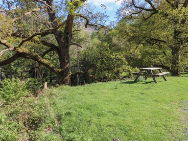 A wooden picnic table on grass near large trees in a natural outdoor setting at High Stile in Seatoller near Rosthwaite
