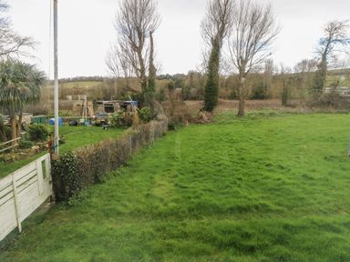 A grassy backyard with trees and a white wooden gate at Nanny's Little House in Sandown