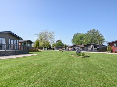 A large grassy area with several single-story cabins and trees at Oakwood 2 @ Pinewood Retreat in Pinewood