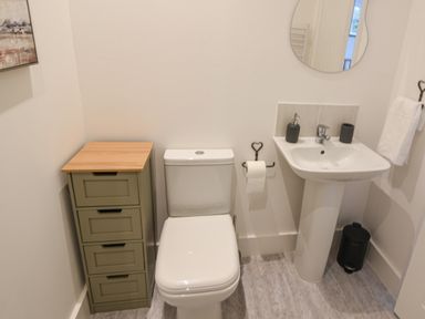 A bathroom with a toilet a sink with toiletries a towel on a rack a small green cabinet and a mirror at Lyme Zest in Lyme Regis