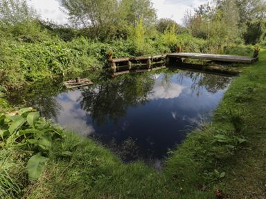 A pond with wooden platforms and surrounding greenery at Brandeers Long Barn Brandier near Minety