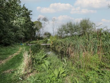 A grassy path beside a small pond with tall reeds and trees at Brandeers Long Barn in Brandier near Minety
