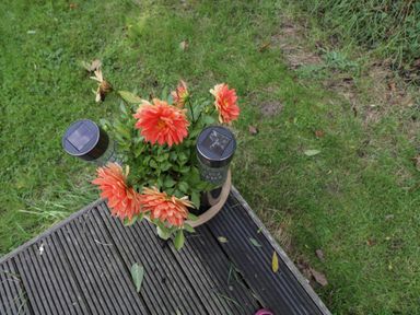Orange flowers in a pot on a wooden deck with grass surrounding at The Big Box Brandeers in Brandier near Minety