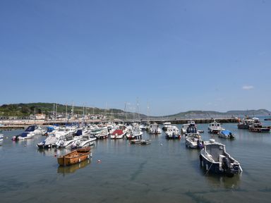 A harbor with multiple boats docked and a shoreline with buildings and hills at 3 Bay View Court in Lyme Regis