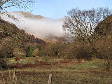 A rural landscape with leafless trees grass and fog on hills in the background at Henfro in Beddgelert