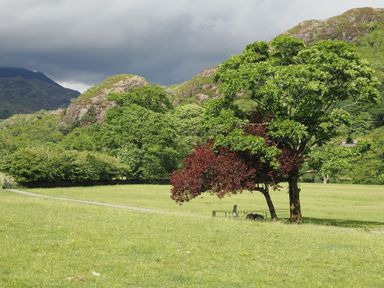 A landscape with trees and a path in Hedfro Beddgelert