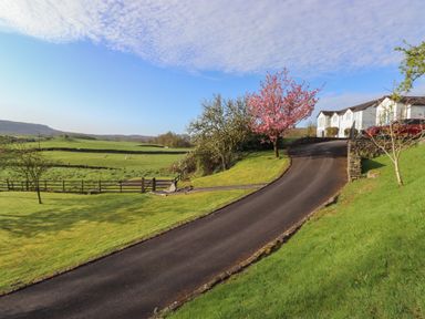 A driveway leading to white houses with a pink blossoming tree and green fields with sheep at Chase View in Bowland Bridge near Bowness-On-Windermere