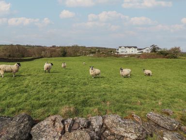 A grassy field with sheep and a stone wall with buildings in the background at Chase View in Bowland Bridge near Bowness On Windermere