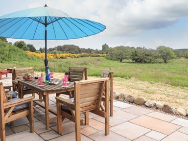 An outdoor patio with a wooden table and chairs under a blue umbrella overlooking a field with trees and yellow flowers at Pine Marten in Dornoch