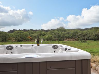 A hot tub with a bottle of wine and two glasses outdoors with green trees and a cloudy sky at Pine Marten in Dornoch