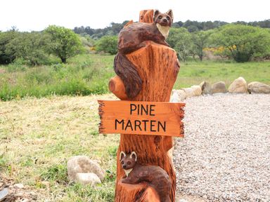 A wooden signpost with carvings of pine martens in a grassy outdoor area at Pine Marten in Dornoch