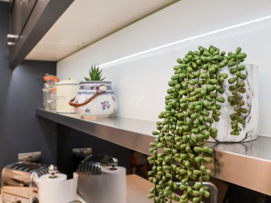 A kitchen shelf with potted plants jars and kitchen appliances at Cavan Cottage in Yoxford