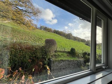 A view of a grassy hill and trees through a window at Fairfield View in Ambleside