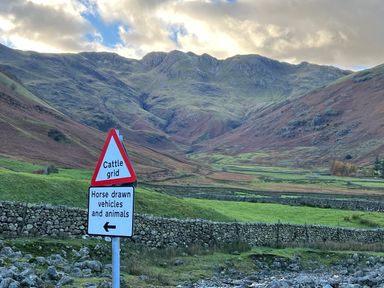 A landscape with mountains stone walls and a road sign warning of cattle grid and horse drawn vehicles at Fairfield View in Ambleside