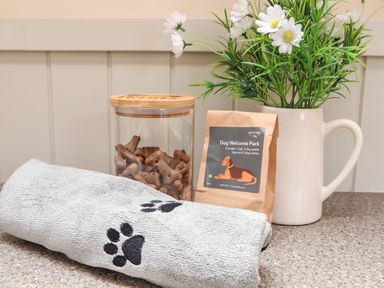 A container of dog treats dog welcome pack towel with paw prints and a jug with flowers on a countertop at Potters Barn in Trevarno near Helston